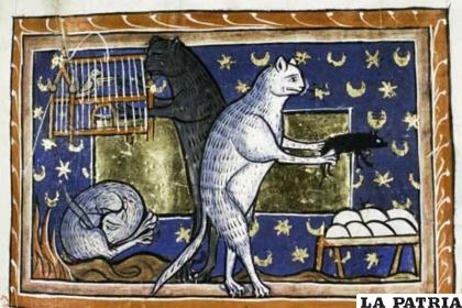 Gatos en un bestiario del siglo XIII. Los gatos aparecen muy a menudo en los manuscritos medievales, lo que no hace pensar que fueran animales denostados /Bodleian Library (CC)