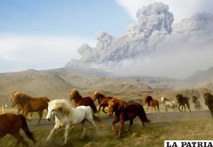 Etienne de Malglaive ganó en la categoría de excelencia desde el terreno por esta imagen de unos caballos huyendo de la erupción del volcán islandés que tanto dio que hablar en 2010