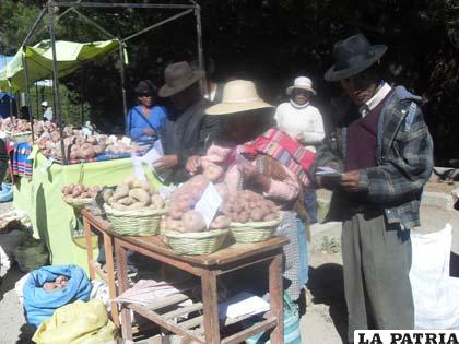 Autoridades nacionales declararon a feria de Challapata, como “Expo Feria del Altiplano Boliviano”, por todo el potencial productivo que tiene