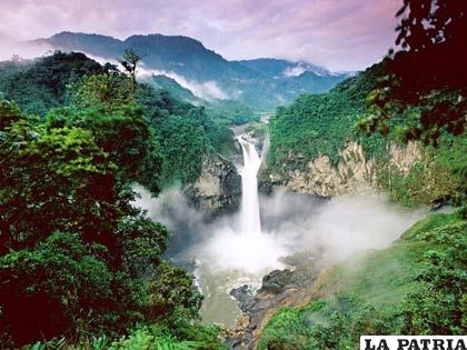 Ecuador es uno de los cinco países más ricos del mundo en biodiversidad