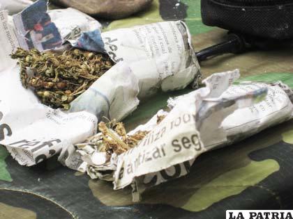 Marihuana lista para su comercialización