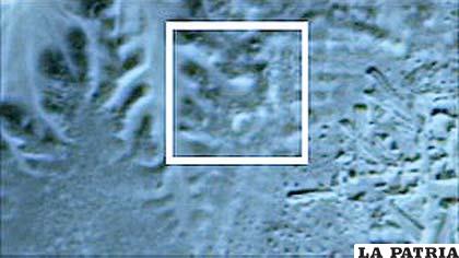 Una imagen satelital infrarroja muestra a una pirámide enterrada, ubicada en el centro de la zona iluminada.