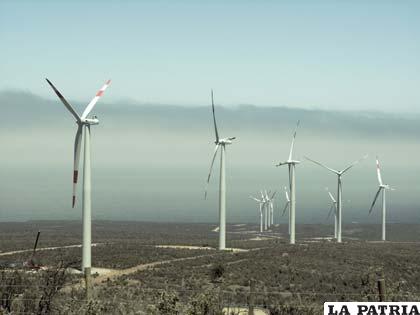 Los grandes parques eólicos en Texas causaron un aumento en la temperatura local, según el estudio