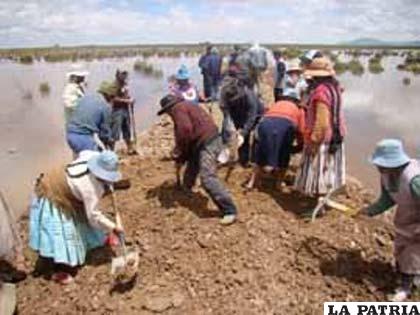 Comunarios tratan de habilitar el camino vecinal dañado por las inundaciones (Foto archivo)
