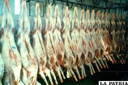 La calidad de la carne faenada en el matadero de Turco es de primera