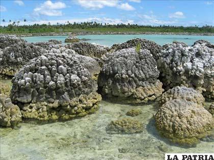 Arrecifes de coral. EFE/Archivo