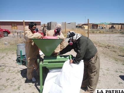 Feria tecnológica del complejo de la quinua mostrará maquinaria para mejorar la producción
