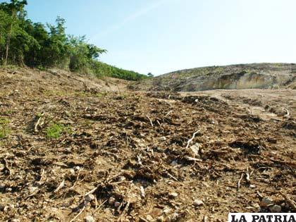 Monte Barinas en Guayanilla