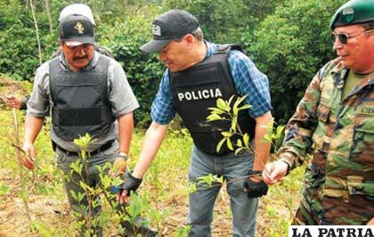 Narcotraficantes utilizan a Bolivia como sector de paso