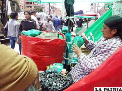 Se sugiere que la coca como cualquier producto pague impuestos