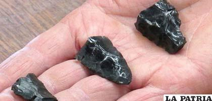 Coprolitos (heces fosilizadas) hallados en dos yacimientos muy cercanos entre sí de Vieques, Puerto Rico