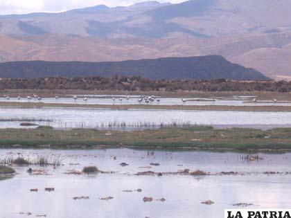 Lago Poopó contaminado con minerales