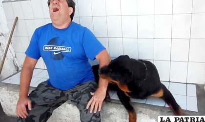 Dueños de perros asesinos irán a la cárcel