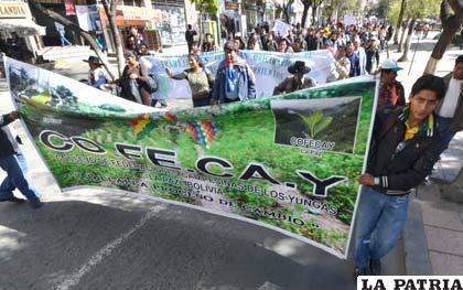 Afiliados a la Confederación de Campesinos de los Yungas en marcha de protesta