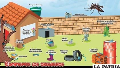 La enfermedad prolifera por la presencia de mosquitos, hay que eliminar los focos donde se concentran