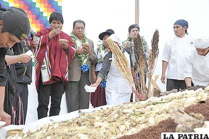 Mas 1.000 has. de producci?n de quinua con un rendimiento entre 6 a 8 QQ/ha.
