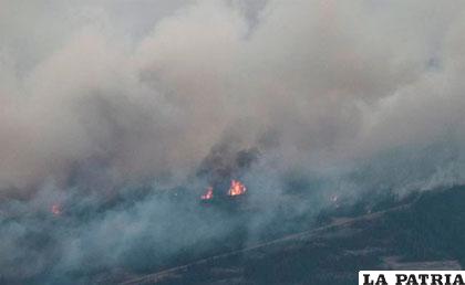 Incendio arrasó más de 161.000 hectáreas de bosque forestal en el Noroeste de Toronto, Canadá /servidornoticias.com