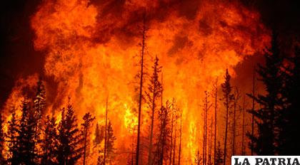 Por el incendio se evacuó a unas 90.000 personas /ncdagency.files.wordpress.com
