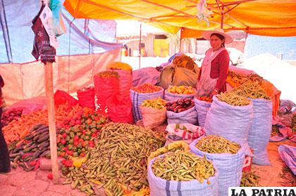 Verduras y legumbres incrementaron su precio en el mes de abril, según el INE