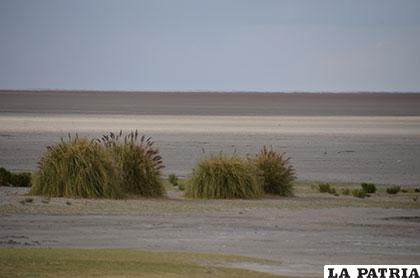 Desaparición del lago Poopó se debe también a la contaminación, especialmente minera