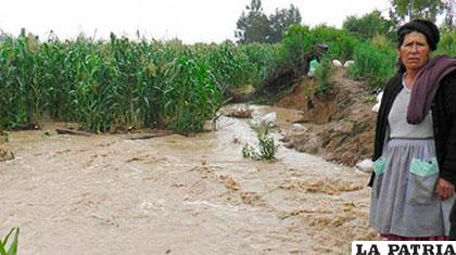 Un total de 121 municipios se vieron afectados por el fenómeno de El Niño /lostiempos.com
