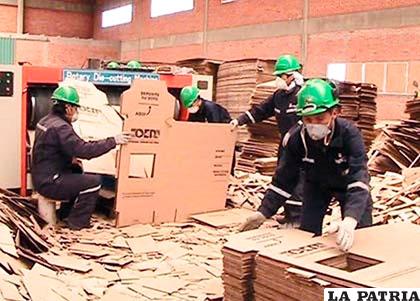 Trabajo al interior de Cartonbol