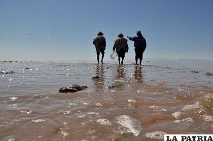 En junio se conocerán resultados sobre monitoreo del lago Poopó /Archivo