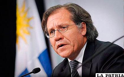 Luis Almagro, secretario general de la OEA se refirió a la reelección