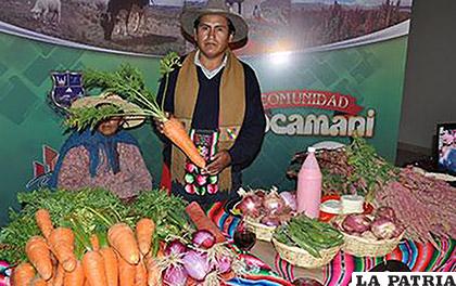 Socamani tiene como principal actividad la producción de hortalizas /Archivo