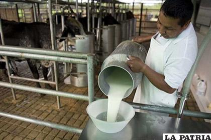 Productores de leche están preocupados /El País Tarija