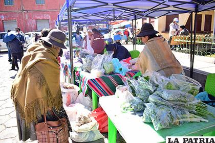 Feria promovió la venta de alimentos ecológicos