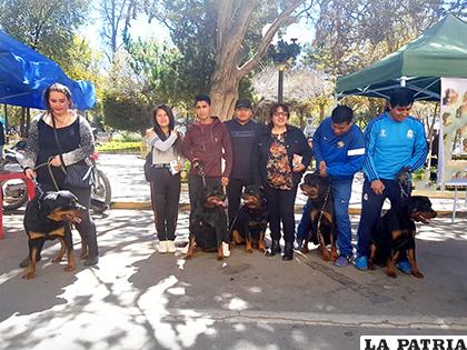 Dueños de canes impulsaron la tenencia responsable de mascotas /LA PATRIA