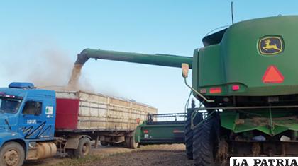 Maquinaria para la cosecha de la soya/ ANF