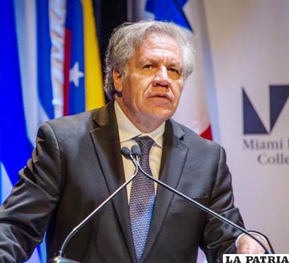 Secretario general de la OEA, Luis Almagro /EL ECONOMISTA