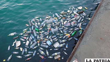 La gran cantidad de plástico en los mares preocupa a la ONU /Pixabay