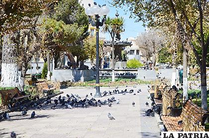 La plaza 10 de Febrero ha sido tomada por las palomas /LA PATRIA