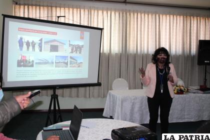 Magda Suaznabar durante la presentación de su informe final /LA PATRIA
