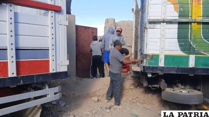 El animal escapó e hirió a cinco personas /LA PATRIA
