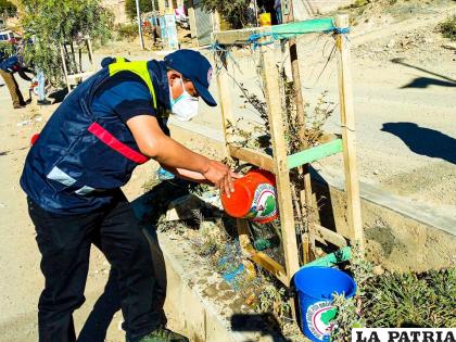 Se debe seguir apoyando a las campañas permanentes de arborización