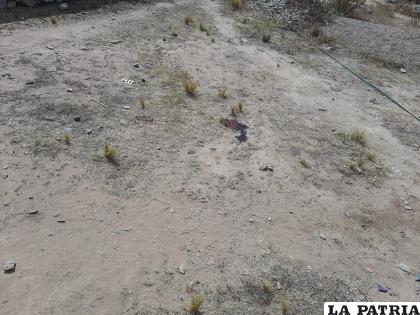 Encontraron manchas hemáticas por donde fue arrastrado el occiso /LA PATRIA