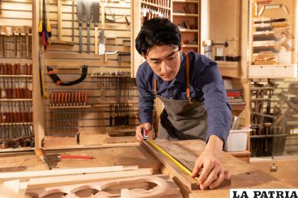 Carpintero: Se dedica a construir, erigir, instalar o reparar estructuras y enseres fijos hechos de madera, sustitutos de la madera y otros materiales. Su perfil tiene que ver con estar en buena forma física, capacidad para sobrellevar un trabajo rutinario, trabaja en equipo, lidiar con labores que implican desorden, debe prestar atención al detalle, realiza acciones como agacharse o levantar cosas pesadas y sigue instrucciones.