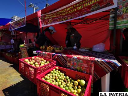 Luego de 2 años productores de Huari llegaron a Oruro /LA PATRIA 
