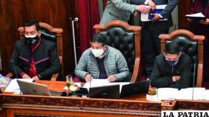 David Choquehuanca, presidente nato de la Asamblea Legislativa, en una sesión anterior 
/PRENSA DE DIPUTADOS