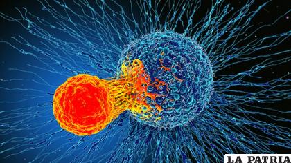 Todas las personas son propensas a tener cáncer 
/Imagen Referencial BBC