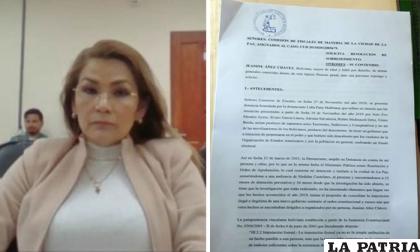 La solicitud presentada por Áñez /erbol