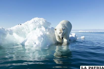 El mundo se acaba a consecuencia de la falta de consciencia con el planeta /GETTY IMAGES