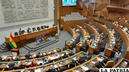 Sesión de la Asamblea Legislativa Plurinacional para la elección de un nuevo Defensor del Pueblo / ANF
