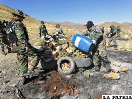 Efectivos proceden a la destrucción de la droga /felcn
