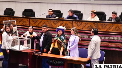 Votación de la elección del Defensor del Pueblo 
/CÁMARA DE SENADORES
