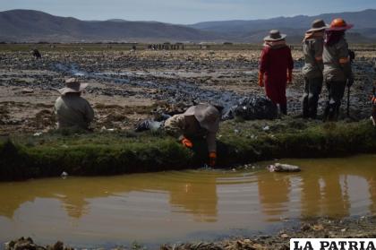  Imágenes de archivo del Lago Uru Uru antes de la limpieza /LA PATRIA 
